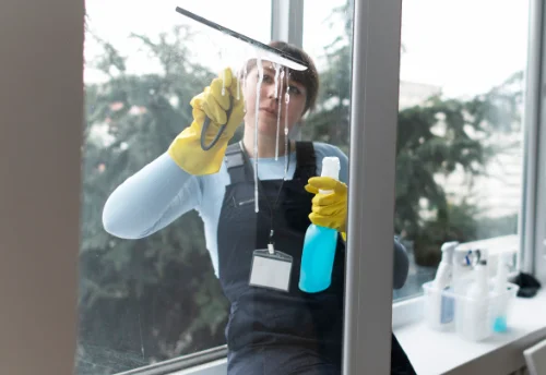 Nettoyage de vitres intérieures et extérieures à Savigné-sur-Lathan